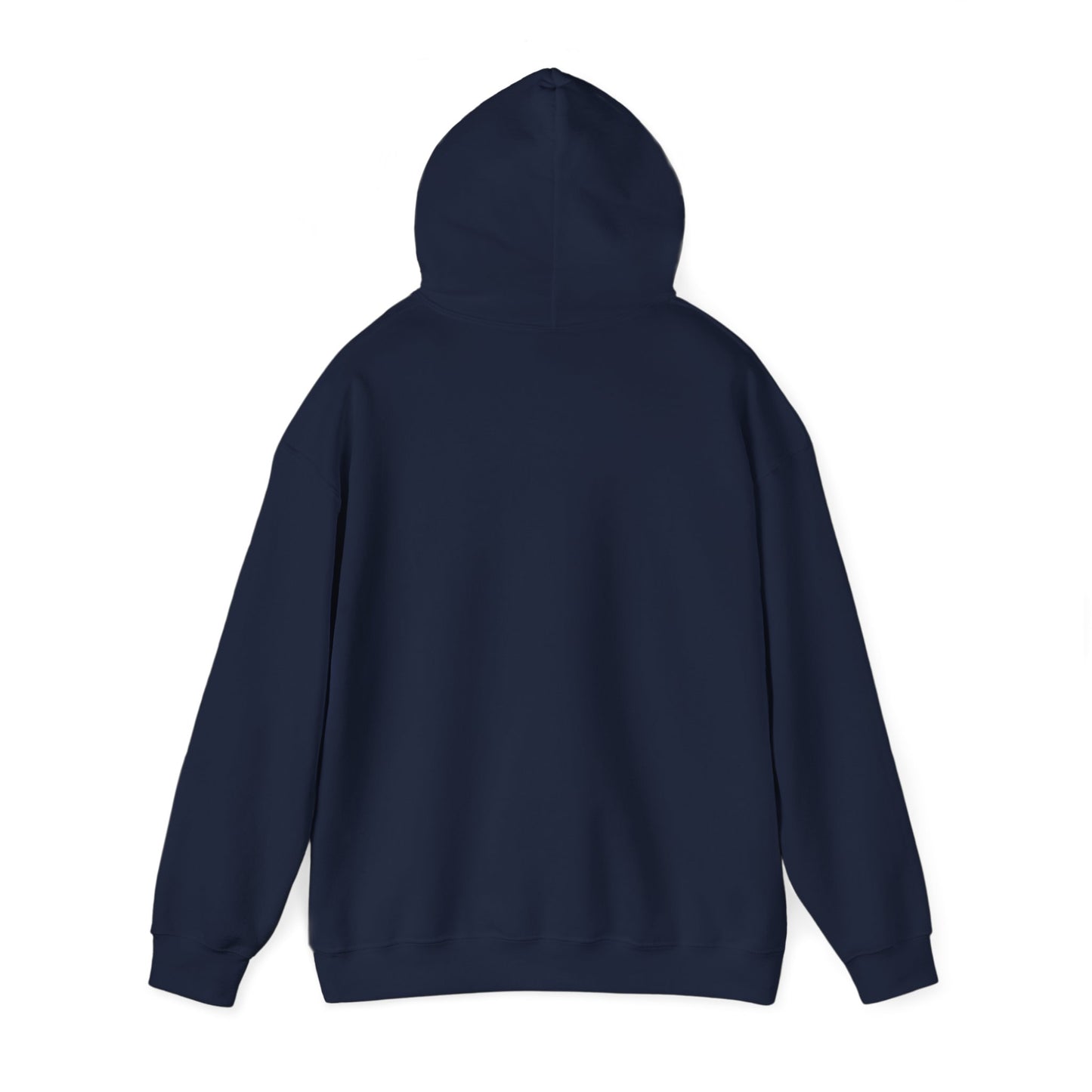 ELEVATED & MELANATED Light Hoodie